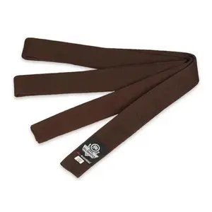BUSHIDO Hnědý pás ke kimonu DBX OBI - 260cm obraz