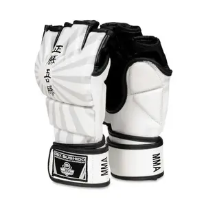 BUSHIDO MMA rukavice DBX E1v7 - M obraz