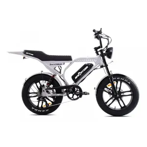 Capriolo APE RYDER MANDRILL ULTRA 2025 šedé elektrokolo obraz