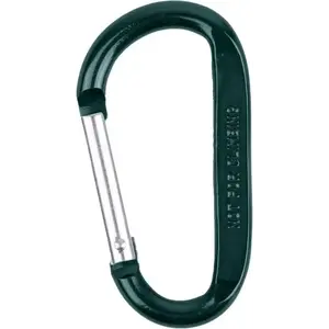 Coghlans Carabiner 8 mm tmavě zelená karabina obraz