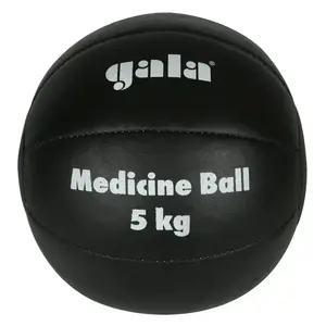 Gala Medicinbal kožený 5 kg obraz