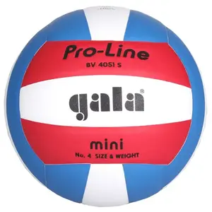 Gala BV4051S Training Mini volejbalový míč - č. 4 obraz