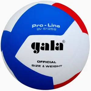 Gala BV5125S Pro-Line volejbalový míč - č. 5 obraz