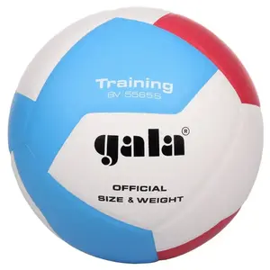 Gala BV5565S Training 12 volejbalový míč - č. 5 obraz
