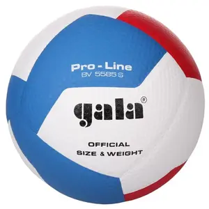 Gala BV5585S Pro-Line volejbalový míč - č. 5 obraz