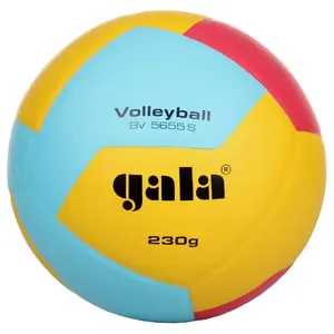Gala BV5655S Volleyball 230 g volejbalový míč - č. 5 obraz
