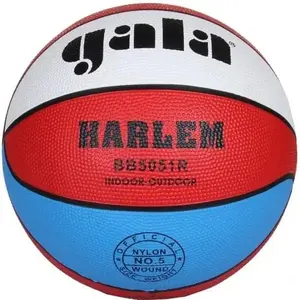 Gala Míč basket HARLEM 5051R obraz