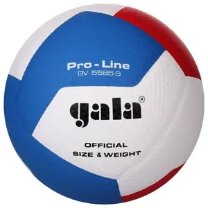 Gala Míč volejbal PRO LINE BV 5585S obraz