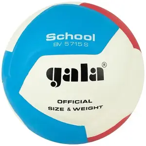 Gala Míč volejbal SCHOOL 12 BV5715S obraz