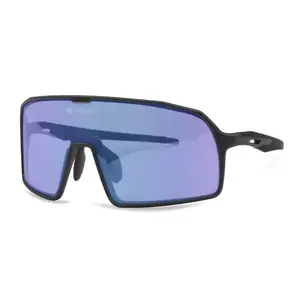Hatchey Target photochromic - Barva rámečku: black obraz