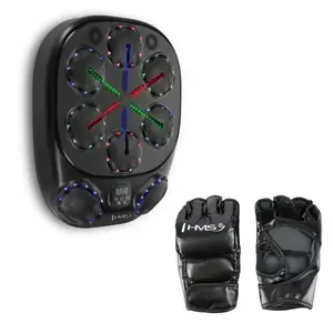 HMS Elektronický boxerský terč TB10 s LED, Bluetooth a rukavicemi (Music Boxing Machine) obraz