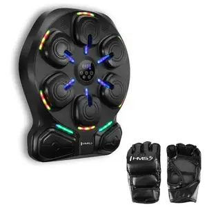 HMS Elektronický boxerský terč TB13 s LED, Bluetooth a rukavicemi (Music Boxing Machine) obraz
