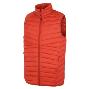 Husky Dresles M - M obraz