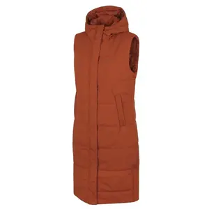 Husky Nilo L faded orange - S obraz