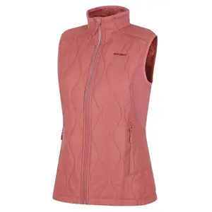 Husky Nimesie L faded pink - M obraz