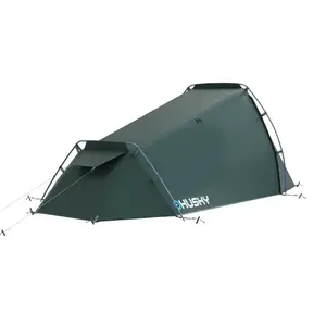 Husky Sawaj 1 dark green obraz
