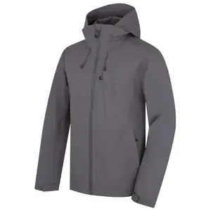Husky Sita M grey - L obraz