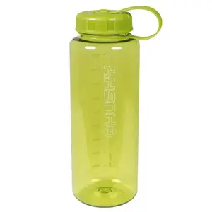 Husky Springie green obraz