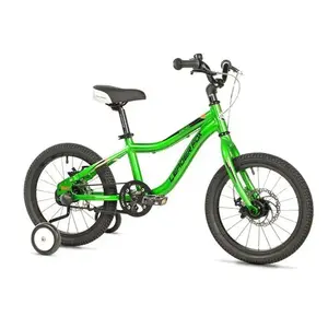 Leader Fox KENO 16 GREEN obraz