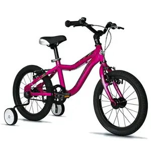 Leader Fox SANTO BOY 16 PURPLE obraz