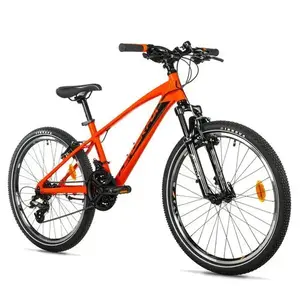 Leader Fox SPIDER BOY 24 ORANGE SHINY obraz