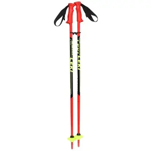 Leki Racing Kids červené juniorské sjezdové hole - 85 cm obraz