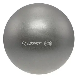 Lifefit Míč Overball 25cm stříbrný obraz