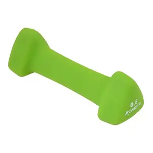 Lifefit Neoprenová činka Triangle 1 x 0.5 kg zelená obraz