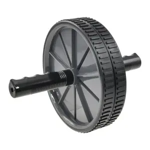 LIFEFIT Posilovací kolečko Exercise Wheel DUO obraz