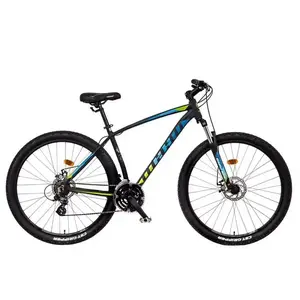 Mayo XC 29 BASIC LITE D - 21 palců, černá-modrá-zelená obraz