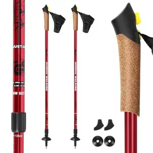 NILS NW 607 Nordic walking hole obraz