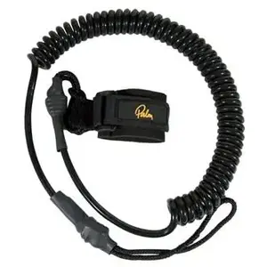 Palm paddle leash obraz
