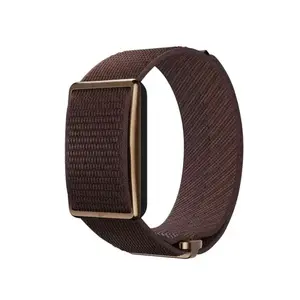 Polar POLAR Loop Gen2 S L hnědý náramkový měřič denní aktivity obraz