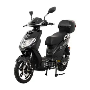 RACCEWAY Elektroskútr E-fichtl černý-lesklý s baterií 20Ah - 250 obraz