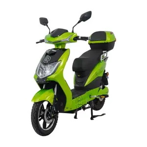 RACCEWAY Elektroskútr E-fichtl sv.zelený-metalický s baterií 20Ah - 250 obraz