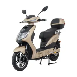 RACCEWAY Elektroskútr E-fichtl sv.zlatý-matný s baterií 20Ah - 250 obraz