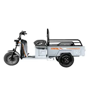 RACCEWAY Start stříbrný elektrický nákladní tříkolový vozík obraz