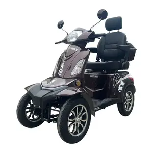RACCEWAY Strada Lux kávová elektrický čtyřkolový vozík obraz