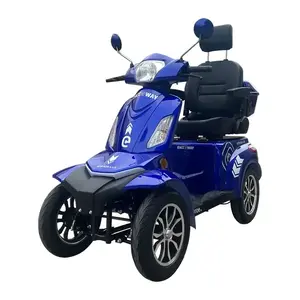 RACCEWAY Strada Lux modrý elektrický čtyřkolový vozík obraz