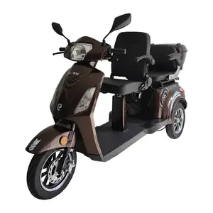 RACCEWAY VIA LUX DUO kávový elektrický tříkolový vozík obraz
