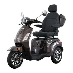 RACCEWAY VIA Lux kávový elektrický tříkolový vozík obraz