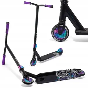 Raven Evolution Laredo Color obraz