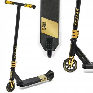 Raven Evolution Scalar Gold 100mm obraz