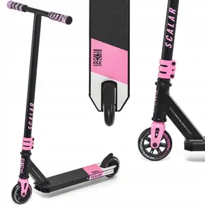 Raven Evolution Scalar Pink 100mm obraz
