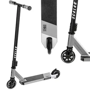 Raven Evolution Scalar Silver obraz