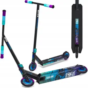 Raven Evolution Xalor Color obraz