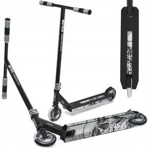 Raven Evolution Xalor Silver obraz