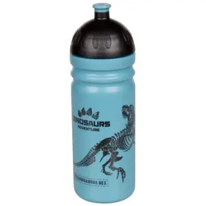 R&B T-REX zdravá lahev - 700 ml obraz