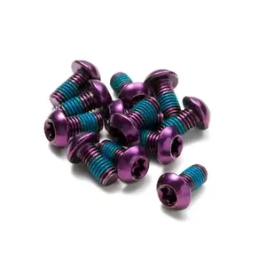 Reverse Šrouby na kotouče Steel M5 x 10 mm, Torx 25, 12 ks fialové obraz