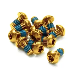 Reverse Šrouby na kotouče Steel M5 x 10 mm Torx 25 zlaté, 12 ks obraz